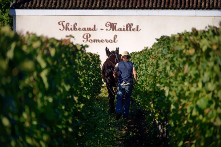 24-09-23-ThibeaudMaillet-48